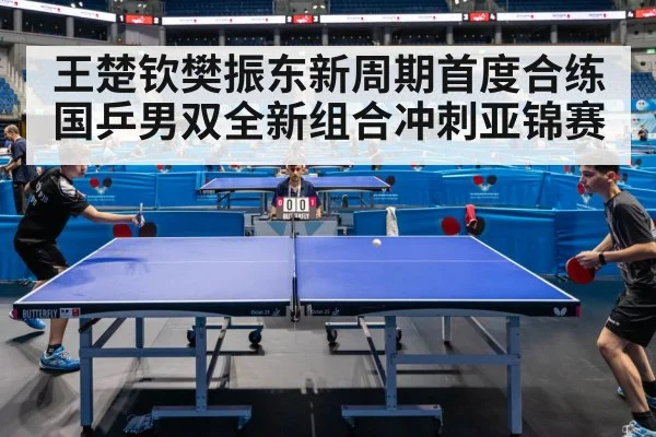王楚钦樊振东新周期首度合练 国乒男双全新组合冲刺亚锦赛
